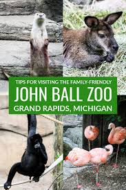Things To Know Before Visiting John Ball Zoo In Grand Rapids Michigan In 2020 Michigan Travel Travel Usa Midwest Travel