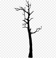The image is transparent png format with a resolution of 6149x8000 pixels, suitable for design use and personal projects. Dead Tree Silhouette Png Free Png Images Toppng