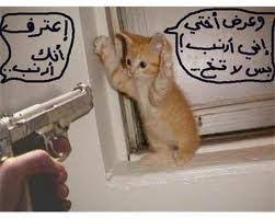 Check spelling or type a new query. ØµÙˆØ± Ù…Ø¶Ø­ÙƒÙ‡ Ø¬Ø¯Ø§ Home Facebook