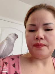 My bird Noah has been lost. (Pictures below), (Reward is $200), Please  search for him if you can., DETAILS: He is a white cockatiel with a light  gray body. He can sing and say phrases along the lines ...