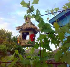 кормушка для птиц из пластиковой бутылки 5 литров фото Kormushka Dlya Ptic Master Klass Efariya Pererabotannye Podelki Utilizaciya Plastikovyh Butylok Kormushka Dlya Ptic