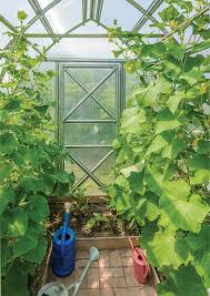 All of these include diagrams, photos, and instructions. Greenhouse Design Garden Club Article From Mitre 10 New Zealand