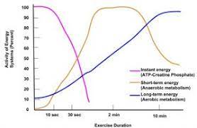 This signals the beta cells of the pancreas to release insulin into the. Fuel Sources Human Nutrition
