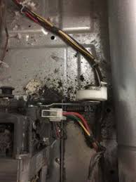 We did not find results for: Samsung Dryer Repair Dryer Noise Applianceassistant Com Applianceassistant Com