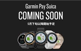 The process will erase all content and settings on your apple watch, making it safe to sell, give away. Ata Distance On Twitter Apple Watch Suica Is Finally Getting Some Competition In May Garmin Pay Suica Https T Co Tznt8rqaq5