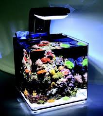 Tmc Micro Habitat 30 Litre Nano Aquarium Aquarium Fish Marine Fish Tanks Saltwater Aquarium