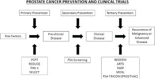 Scientists are looking for new ways to treat advanced prostate cancer in clinical trials. Prostate Cancer Prevention Concepts And Clinical Trials Semantic Scholar