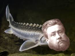 Charles Sturgeon : r/ReformedHumor