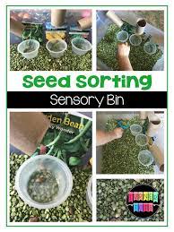 Garden Literacy Activities That Will Grow Your Preschooler S Mind Turner Tots Garden Themed Preschool Unit Preschool Units Garden Activities Sensory Bins