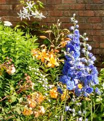 Maybe you would like to learn more about one of these? Classic Tall English Flowers Velcro Brand Blog