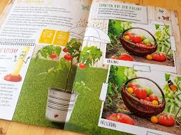 Dein garten ist professionell vorbereitet und rund um die uhr geöffnet. Der Erste Eigene Kleine Bio Garten Eine Tolle Familienaktion Von Real Apfelbackchen Familienblog