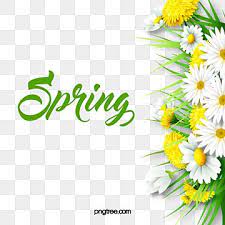 Spring Flower Spring Element Spring Spring Day Plant Png Transparent Clipart Image And Psd File For Free Download Spring Flowers Background Flower Border Clipart Spring Flowers