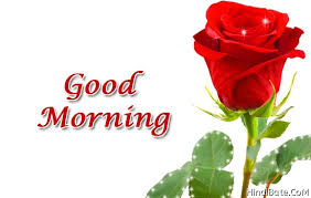 We did not find results for: Good Morning Flower Pictures Hindibate Com