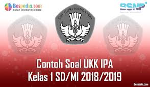 Lengkap Contoh Soal Ukk Ipa Kelas 1 Sd Mi 2020 2021 Bospedia