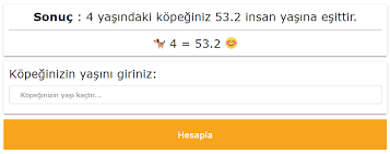 Kopegim Kac Yasinda Kopegin Yasi Nasil Ogrenilir Hesaplama Petzz Blog
