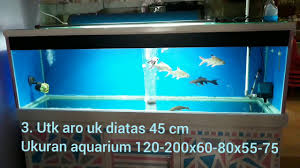 Aneka model meja aquarium minimalis bahkan tampaknya kini aquarium semakin diminati oleh keluarga indonesia. Setting Up A New Aquarium Part 2 Camry Aquarium 1 2 Meter Long By Gerard Rhopeman