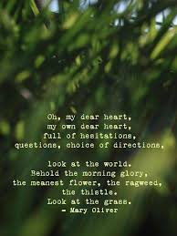 When The Future Seems Uncertain Look At Nature It Depicts The Promises And Faithfulness Of God Nature Quotes Quote Cards Mary Oliver Poems