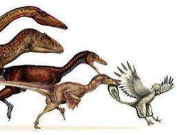 Maybe you would like to learn more about one of these? Dinosaurs Shrank For 50 Million Years To Become Birds New Scientist