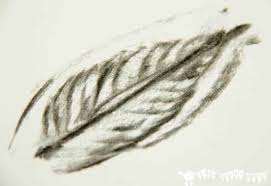 Charcoal Leaf Pictures Kids Craft Room Leaf texture could be a useful texture for your future web design or graphic artworks specially if the concept is something to do with nature.