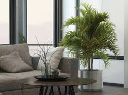 Ter uma decoração de sala simples não significa ter um ambiente feio, a sala decorada simples também pode ser linda e cheia de personalidade. Plantas Para Sala Descubra As Melhores Especies Para Ter Dentro De Casa Revista Artesanato