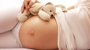 Óleo essencial de Hortelã pimenta pode ser utilizado durante a gestação  ????