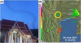 The cobra irad radar/laser detector features 360 degrees radar and laser detection complete with two main operating modes. Perspectives And Challenges For The Use Of Radar In Biological Conservation Huppop 2019 Ecography Wiley Online Library