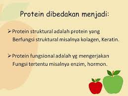 We did not find results for: Contoh Protein Fungsional Dan Protein Struktural Berbagi Struktur