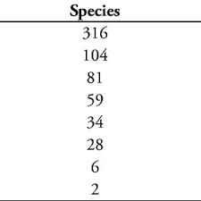 Image result for Kylicanthe rohrii