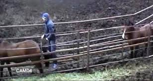 Sevgilisinin Ata Tecavüz Ettiğini Gören Kadın Onu Terk Etti