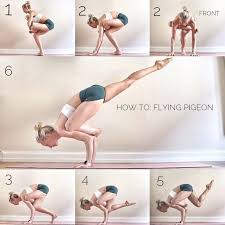 Vintage Yoga Photos Cool Yoga Poses Basic Yoga Yoga For Beginners
