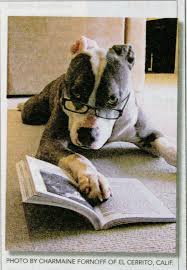 Pin By Penguin Random House On Book Humor Dog Books Animal Book Pets