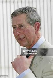 31 52238811 Stock Photos, High-Res Pictures, and Images