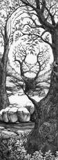 Image result for illusion pictures