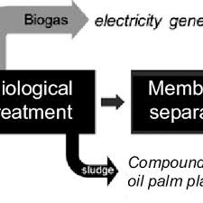 Traditional treatment methods place demands on millers, particularly in the face of strict environmental regulations. Pdf Zero Discharge Treatment Technology Of Palm Oil Mill Effluent