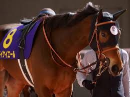 名無しさん＠実況で競馬板アウト 2021/08/29(日) 15:42:55.31 id:022h2xix0 大して成長してないし 1番人気はねーわな 2: 9h1pzrde1dt Tm