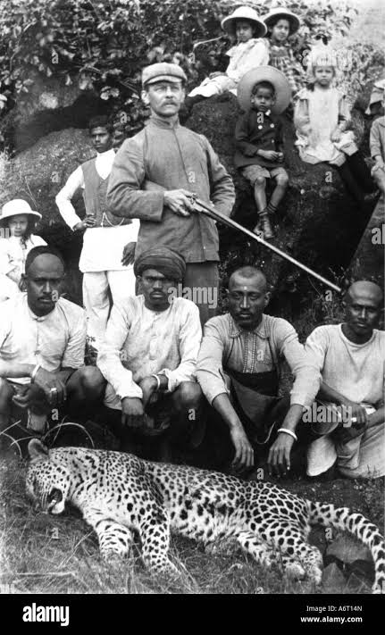 Leopard of india Black and White Stock Photos & Images - Alamy