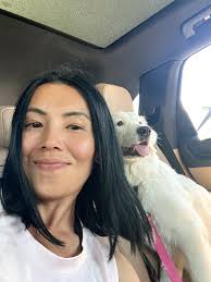 Meet our Pyredoodles, Jarvis & Bodhi. at 4 months, then at 6 months.  Absolutely wild. 😂