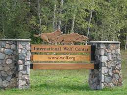 ~ international wolf center learn ~. International Wolf Center Picture Of International Wolf Center Ely Tripadvisor