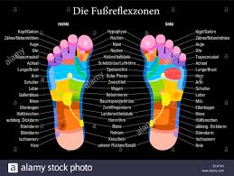 Foot Reflexology Chart With Accurate Description German
