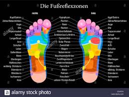 foot reflexology chart with accurate description german