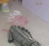 3D-printed production, ultra-detailed lizard sculpture, a custom decorative  piece for reptile exhibitions. Chinese sculpture manufacturer,  #FiberglassSculptureManufacturer #CustomSculptureManufacturer ...