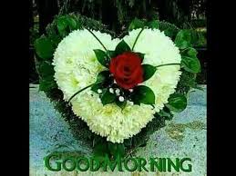 When i see your face early in the morning and i see your vibrant smile i am sure that i will have a lovely day for to my beautiful wife, have i ever confessed it to you that you look so pretty in the morning wish like staring at you, good morning! Good Morning My Lovely Wife Youtube