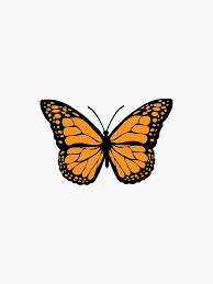 Orange butterfly · free pngs, stickers, photos, aesthetic backgrounds and wallpapers, vector illustrations and art. Orange Butterfly Sticker By Melmggn In 2022 Orange Butterfly Blue Butterfly Wallpaper Butterfly