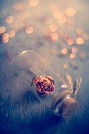 Amazing Wallpaper Beautiful Wallpapers Backgrounds Beautiful Nature Wallpaper Cute Wallpaper Backgrounds