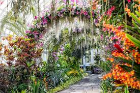 Walk Through A Sea Of Orchids At The New York Botanical Garden S Orchid Show Singapore Botanic Gardens Botanical Gardens Botanical Garden New York