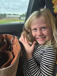 Local or online sources for timothy/alfalfa feed for bunnies?