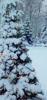 Winter Christmas Wallpaper Iphone Xr Download the perfect christmas wallpaper for your desktop or device hd quality photos no attribution needed free download. winter christmas wallpaper iphone xr