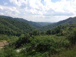 Elevation Of Buffalo Mountain Trailhead Hatfield Mccoy Trails 34 Oakwood Heights Road Williamson Wv Usa Topographic Map Altitude Map