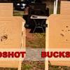 #4 buckshot pellet is about the size and velocity of a.22lr. 1