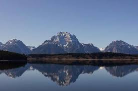 Check spelling or type a new query. Wildlife In Wyoming Animals Around The Globe